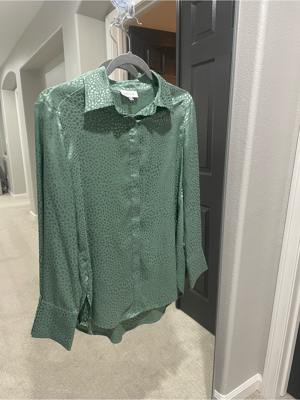 ecru Sage Green Satin Button-Down Shirt